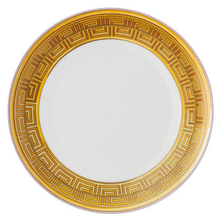 Versace meets Rosenthal Medusa Amplified plate diam. 28 cm. Versace Pink Coin - Buy now on ShopDecor - Discover the best products by VERSACE HOME design